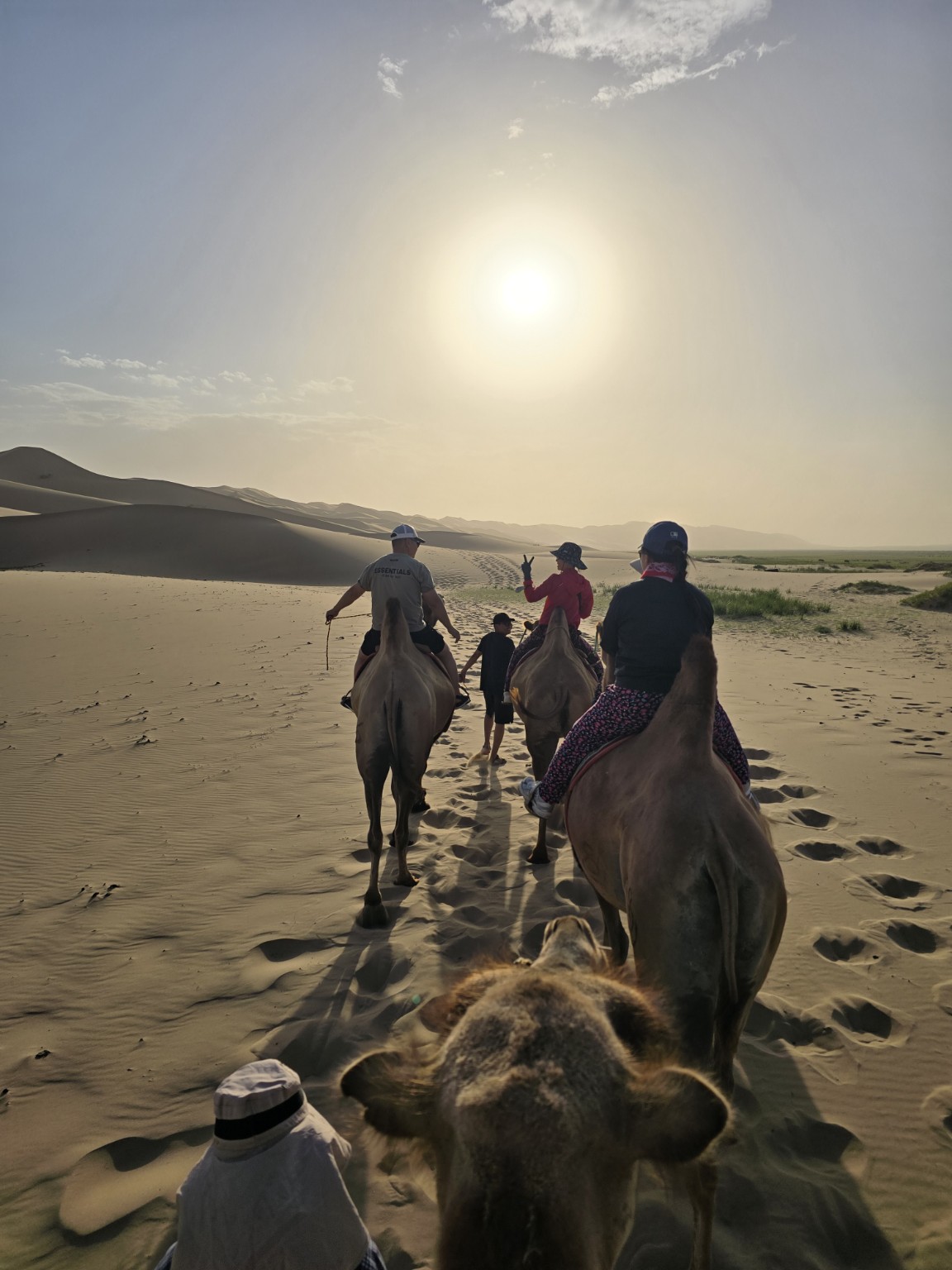 Camel ride at sunset in the Gobi